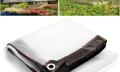 雄蛾酒有什么功效和作用-雄蛾酒有什么功效网 :分享雄蛾酒有什么功效与作用-雄蛾酒好用吗知识
