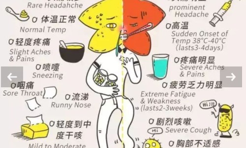 雄蛾酒好用吗-雄蛾酒有什么功效网 :分享雄蛾酒有什么功效与作用-雄蛾酒好用吗知识